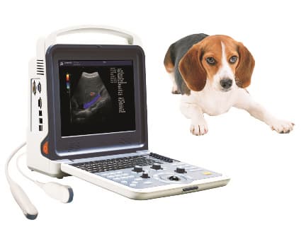 Vet Color Doppler Ultrasound Scanner K6